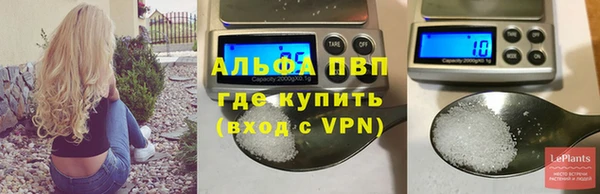 гашик Костерёво