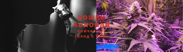гашик Костерёво