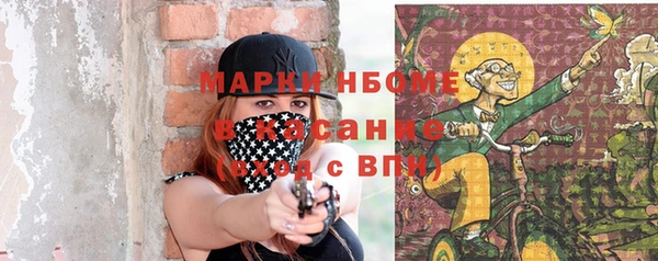 гашик Костерёво