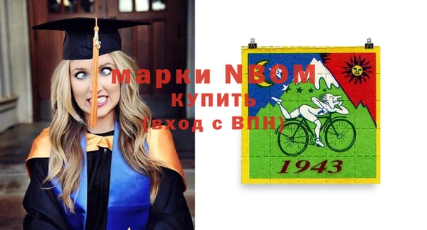 гашик Костерёво
