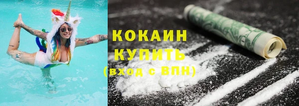 гашик Костерёво