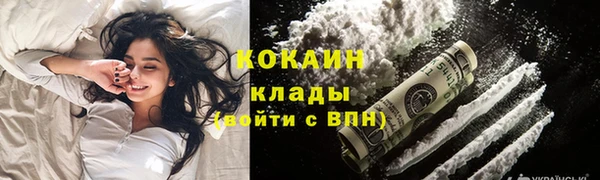 гашик Костерёво