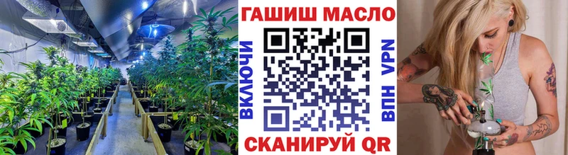 Купить закладки  Нахабино  ТГК THC oil 