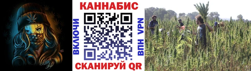 Купить где Нахабино Канабис марихуана